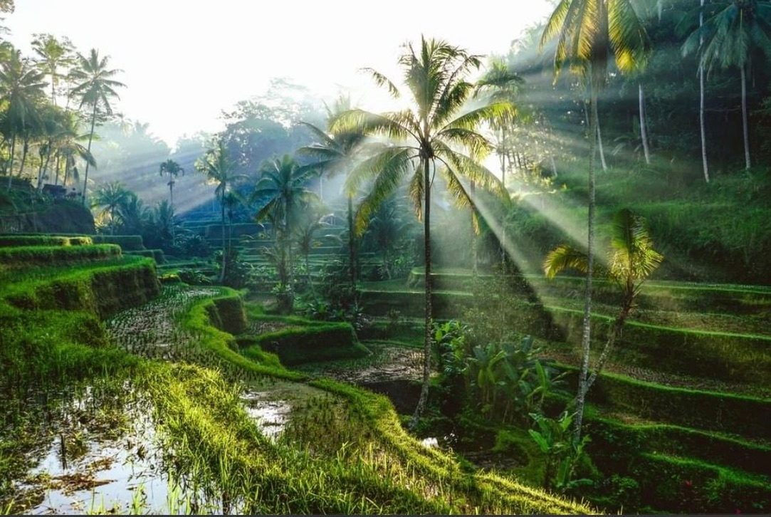 TheFloatingLeaf's tweet photo. We suffer more often in imagination than in reality. - Seneca
#yogaretreats #wellbeingretreats #bestinBali  #SafeStayPromise #BaliRetreats #ecoFriendly #SustainableLuxury #retreatleader #yogateacher  #baliwellness #baliyogateacher #baliyoga #baliyogaretreat #baliyogaevent https://t.co/tGeMUsSHw7