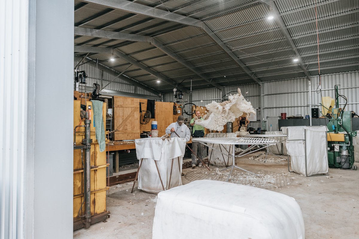 Shearing in full swing in our recent shearing shed extension project.🐑
cockaleechieindustries.com.au