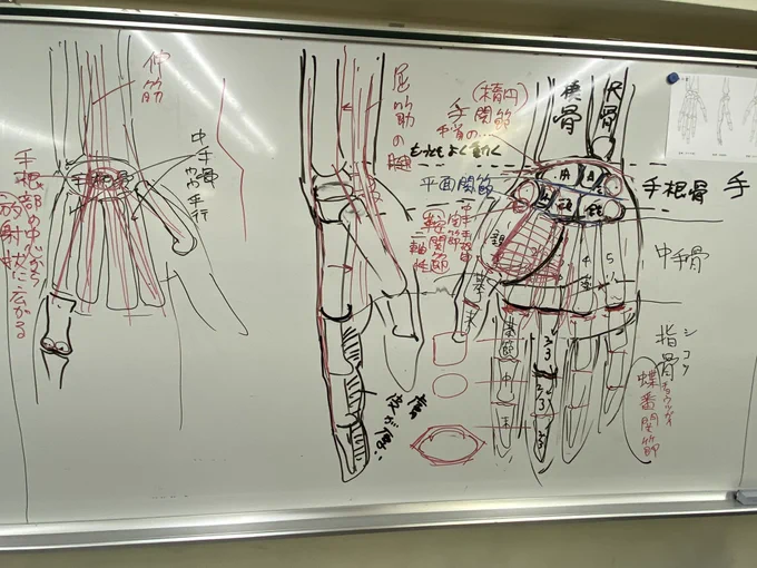 人体イラスト授業
今日は手。
解説することが多すぎて二時間ずっと解説していたけど、全然足りなかった。 