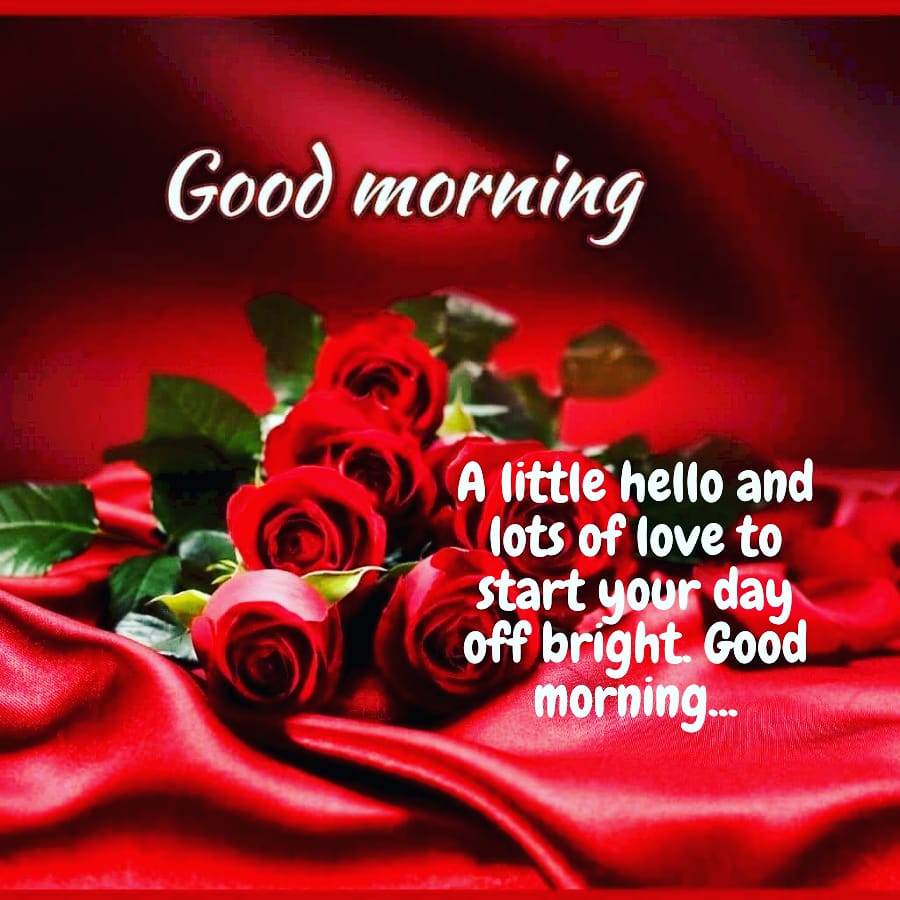 PinkiRa50334078's tweet photo. Opportunities will knock on your door every morning. But if you keep sleeping they will simply pass you by"

#goodmorning #dearconnections #uniglance #uniglanceconvertingvisionintoreality #jobseekers #helpinghand #hiring #bde #jobseekersupport #fresher #experience #noidajobs https://t.co/2Rt3ata6S8