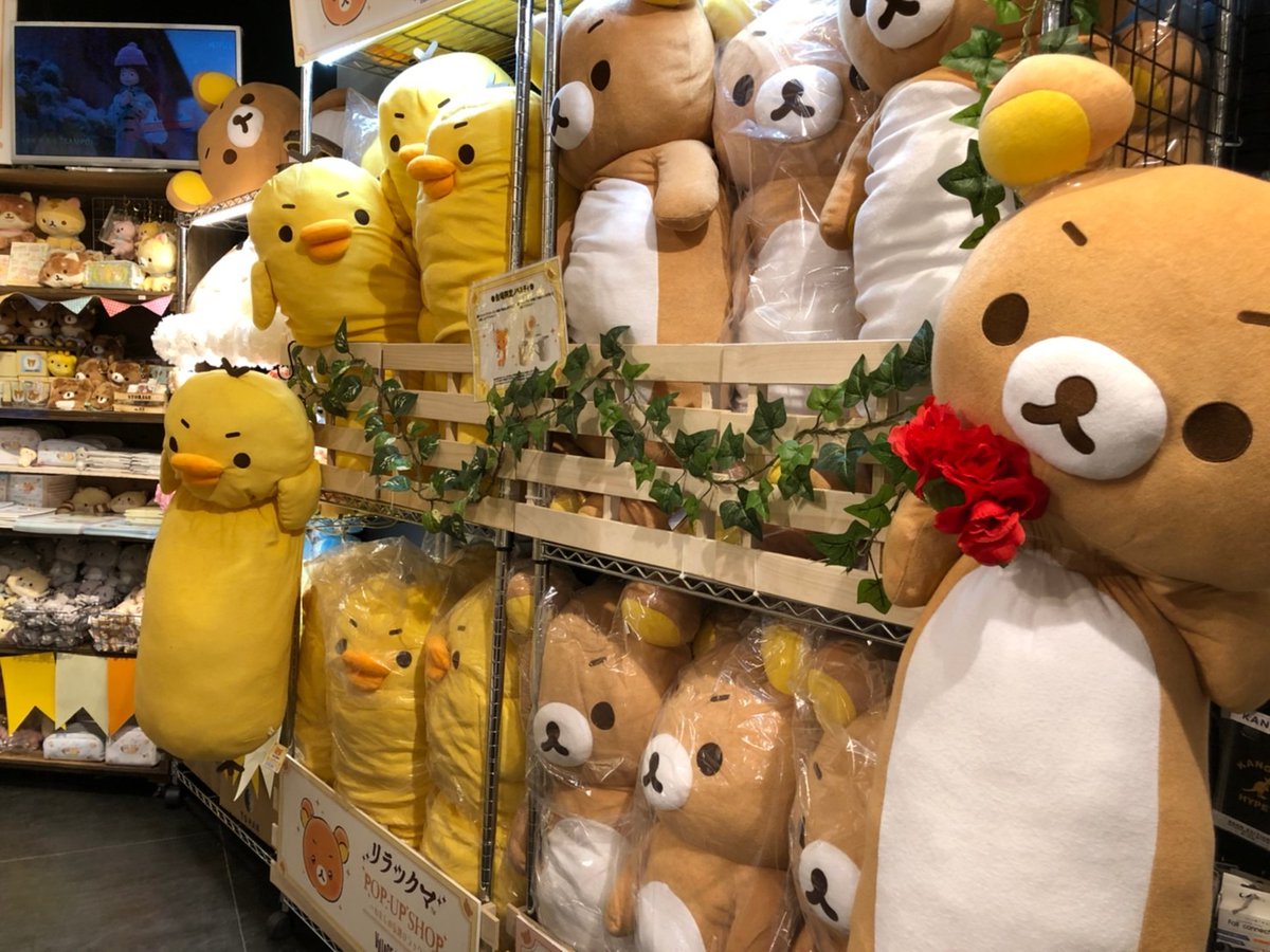 ┏━━━━━━┓ ┏┫渋谷本店店内