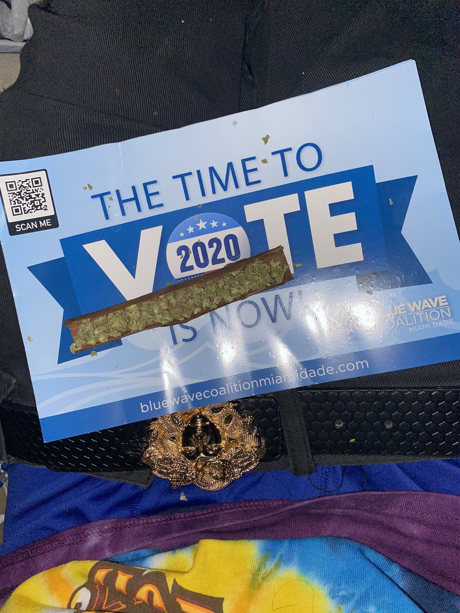 theebrandolee's tweet photo. Hold up yall im almost done. My b #Election2020 https://t.co/ksdTMYdvdy