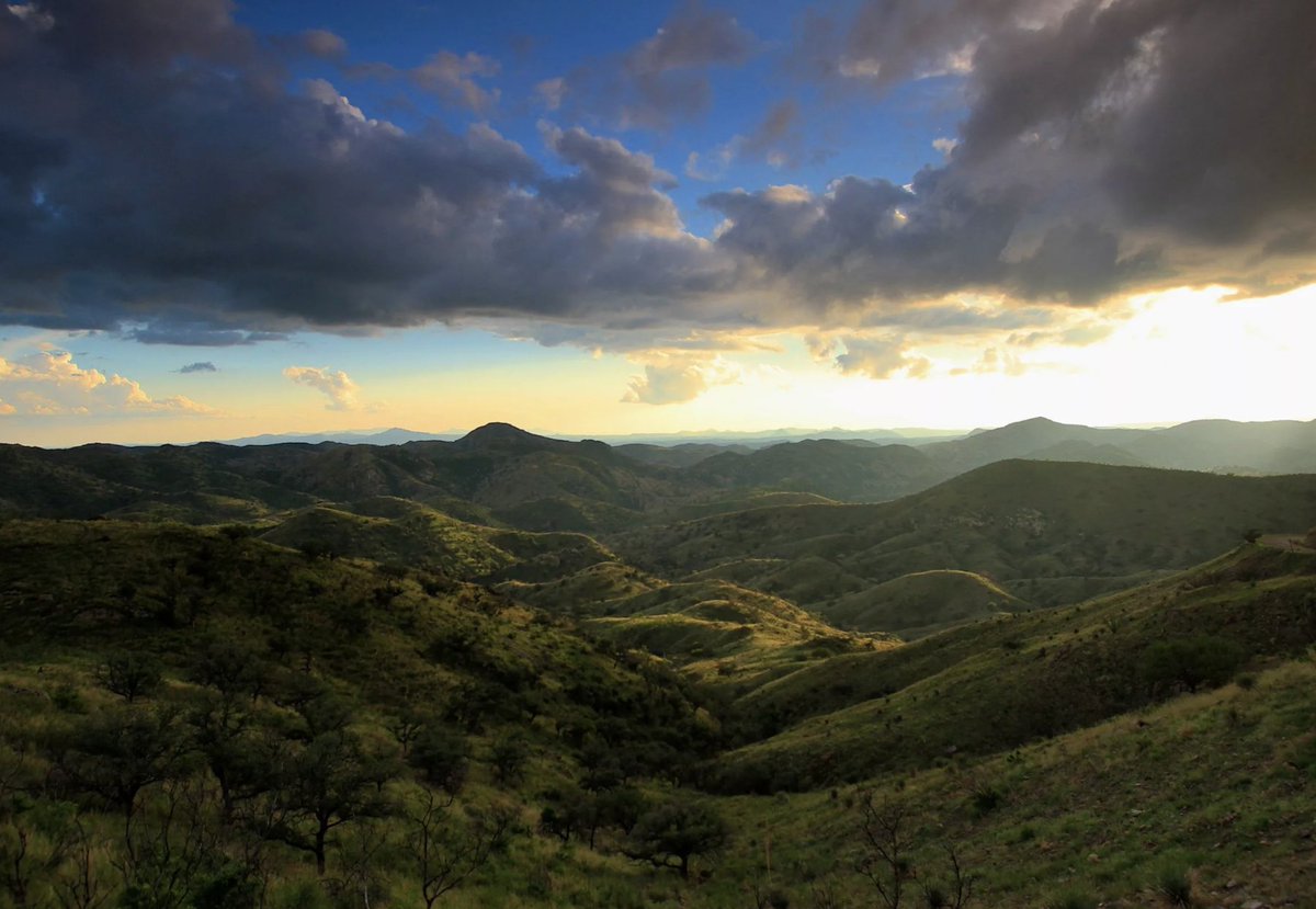 The story has one of my catchier ledes IMO: "Before the monsoon rains lured me to southern Arizona, I had never been shot at..." Also great photos by my friend  @BiodiversiLary