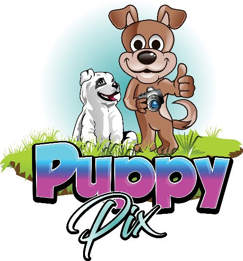 Hurry - 3 Days to go - mailchi.mp/75da3c076a96/h…