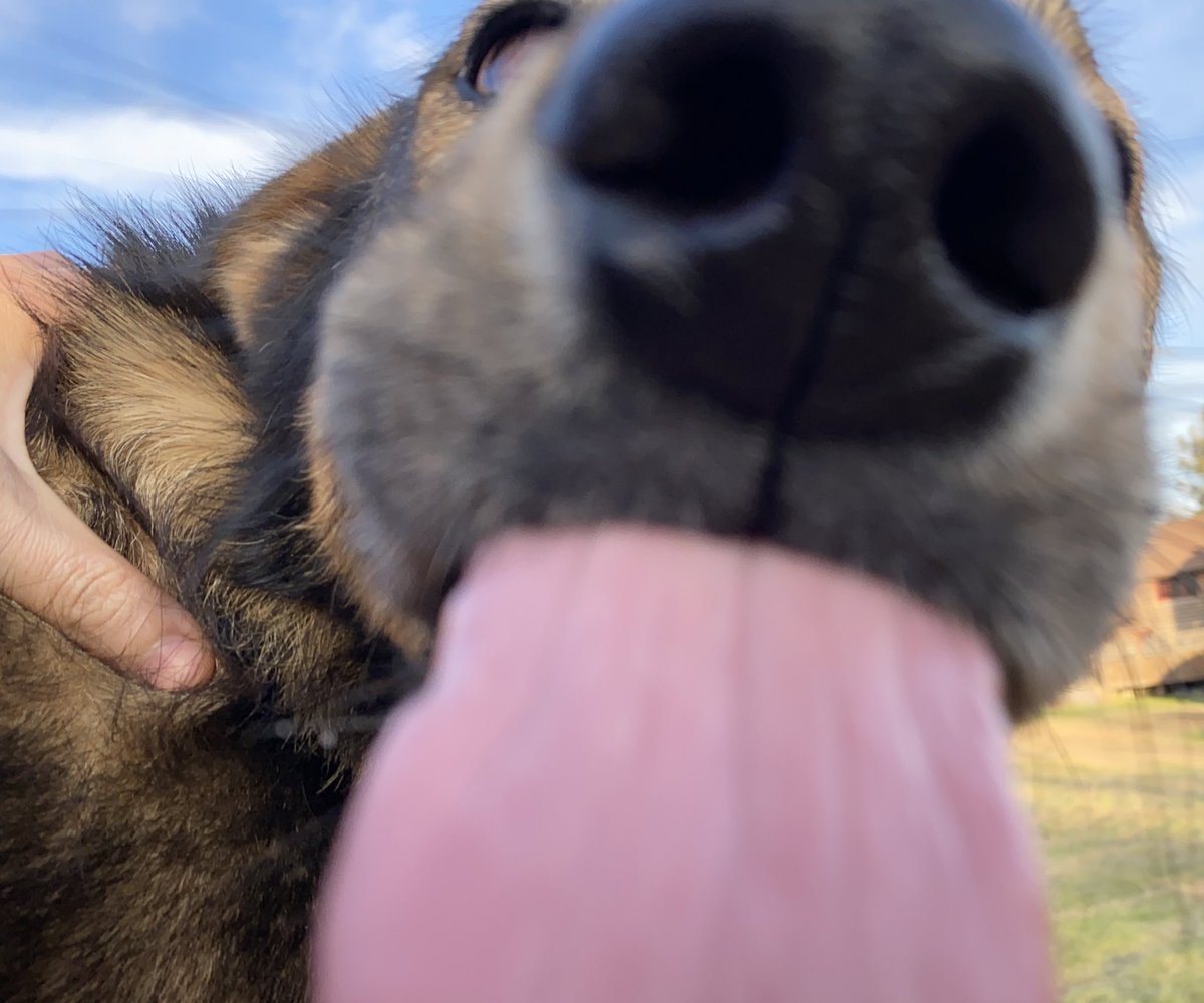 SuavesLomitos's tweet photo. 👅 Acabas de recibir el lenguetazo de la buena suerte, no lo Ignores, retwittea y en 24 horas recibirás muy buenas noticias 🐶
https://t.co/rgXxDvEcPI https://t.co/FyLOZibd2l