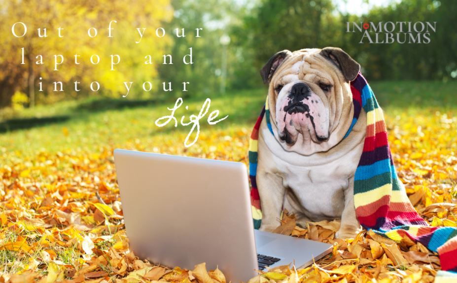 InMotion Albums tweet media