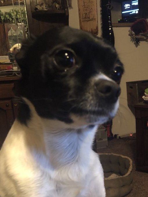 my little cash... https://t.co/6O90UclfqN