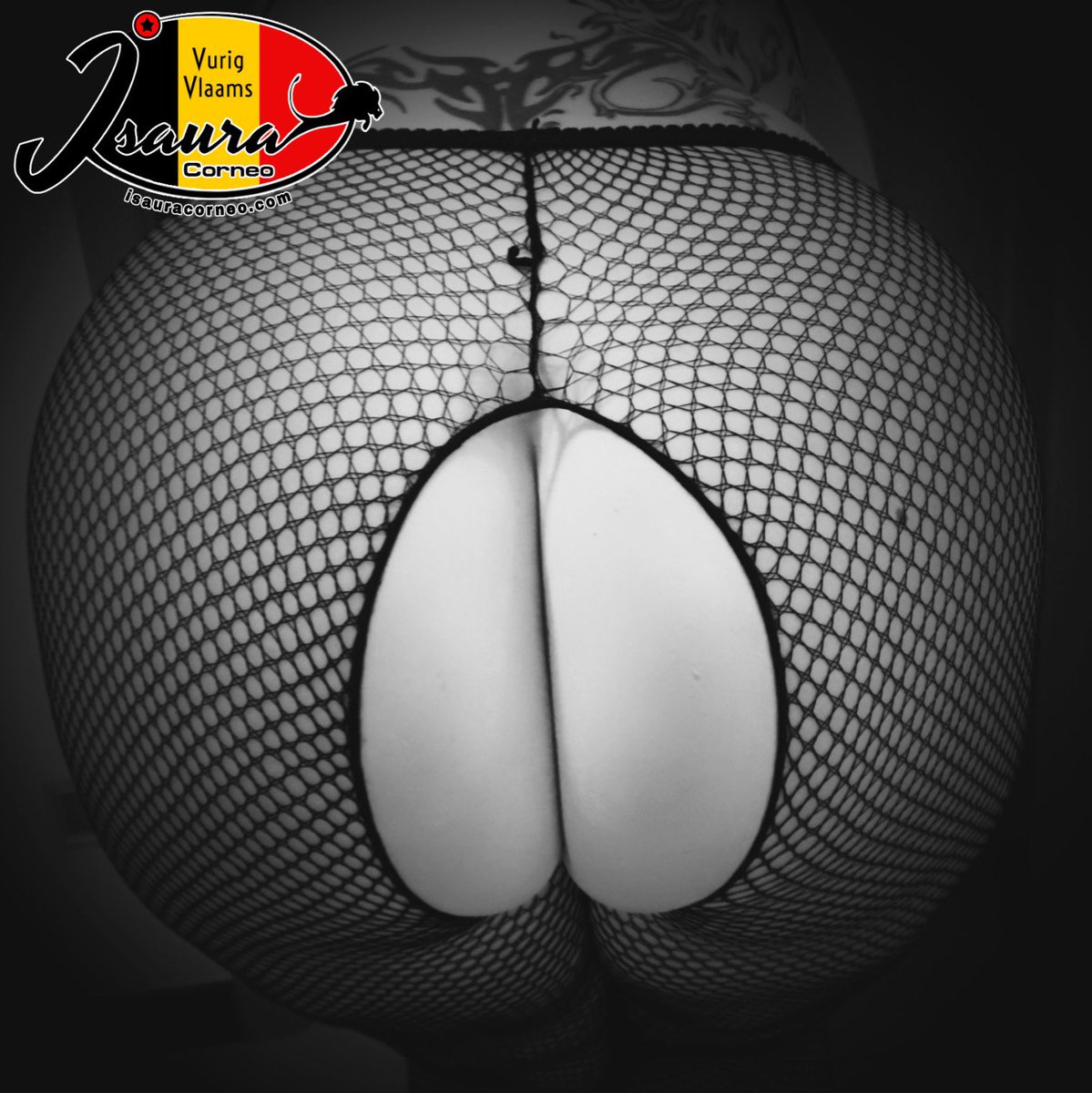 Richard_Bes's tweet photo. Goedemorgen @isaura_corneo🇧🇪
een hopelijk redelijk fijne #FriskyFriday schoonheid.
#FOLLOW #MustFollowIsaura_Corneo #TGIF #Boobilicious #NaturalBigTits #Tattooed #BeautifulBody #BBW #Stockings #Lingerie #StunningAss #Staysafe #StaySexy https://t.co/fsvDaelsoX