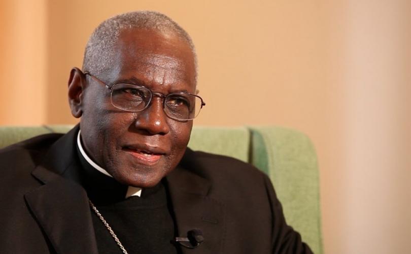 Sachinettiyil's tweet photo. "Unfortunately, it is easier to destroy a country than to rebuild it."
–Robert Cardinal Sarah https://t.co/mnOLub9FlT