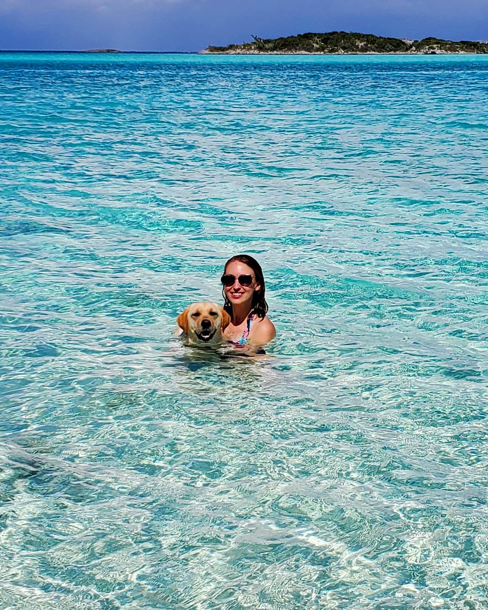 Sandy_Sandz's tweet photo. Love is a four legged word 🐶💙🐾🌴 @fowlcayresort #onthecay #fowlcayresort #exumas #bahamas https://t.co/3q0N2lsSth