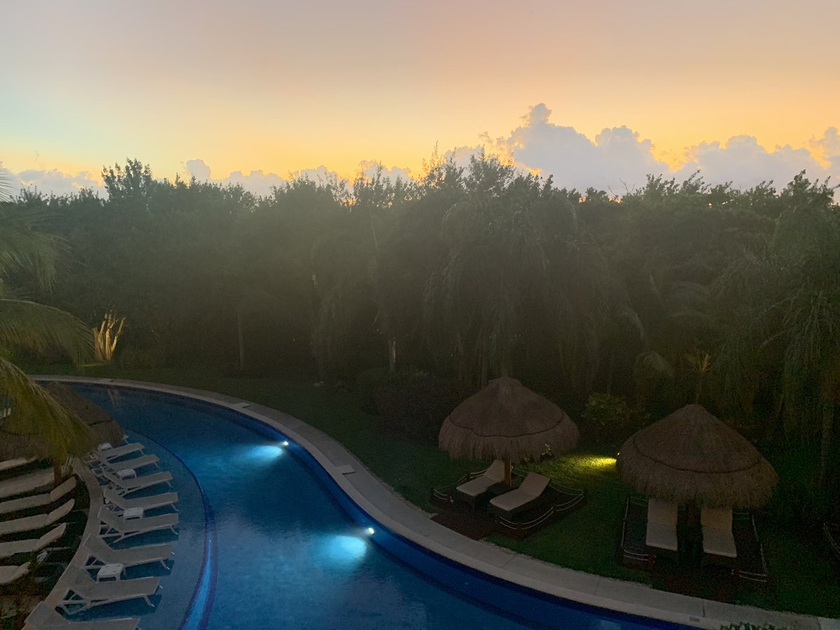 Lisa Reaugh tweet media