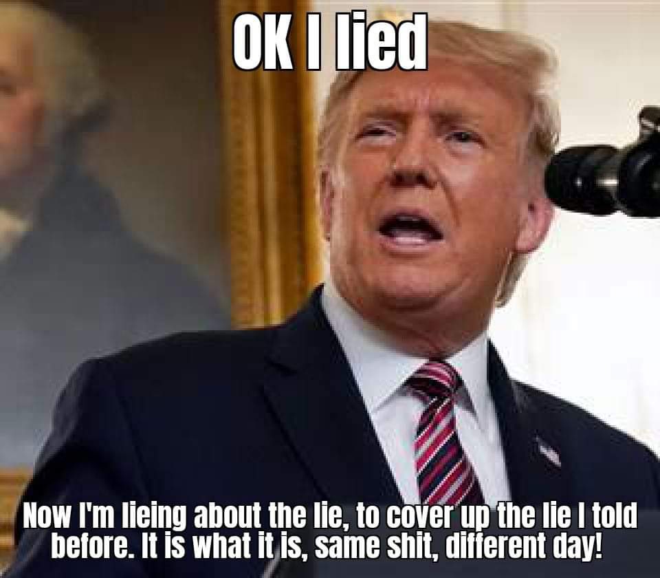 Vee tweet media