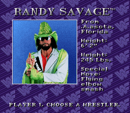 It's 9pm on an election night so I'm doing the obvious thing:haxing WWF Royal Rumble for the SNES so I can change Macho Man Randy Savage's hometown