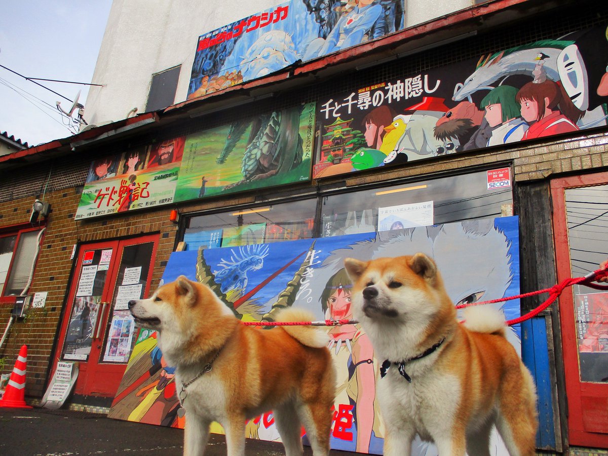 御成座 絵看板公開セレモニーには スペシャルゲストとして偶然遊びに来ていたふるさわおんせんの2頭の秋田犬 温 はる ちゃん 華 はな ちゃんも参列 一挙4作品もの得看板がズラリと並ぶ光景に これが手描きなんてスゴイ と感激している様子だった