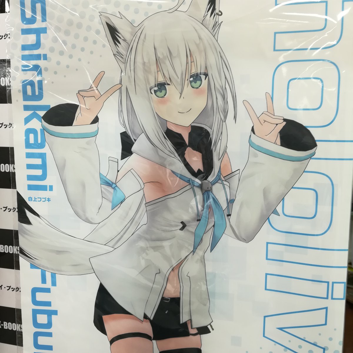 １着でも送料無料】 ホロライブ 白上フブキ タペストリー character1