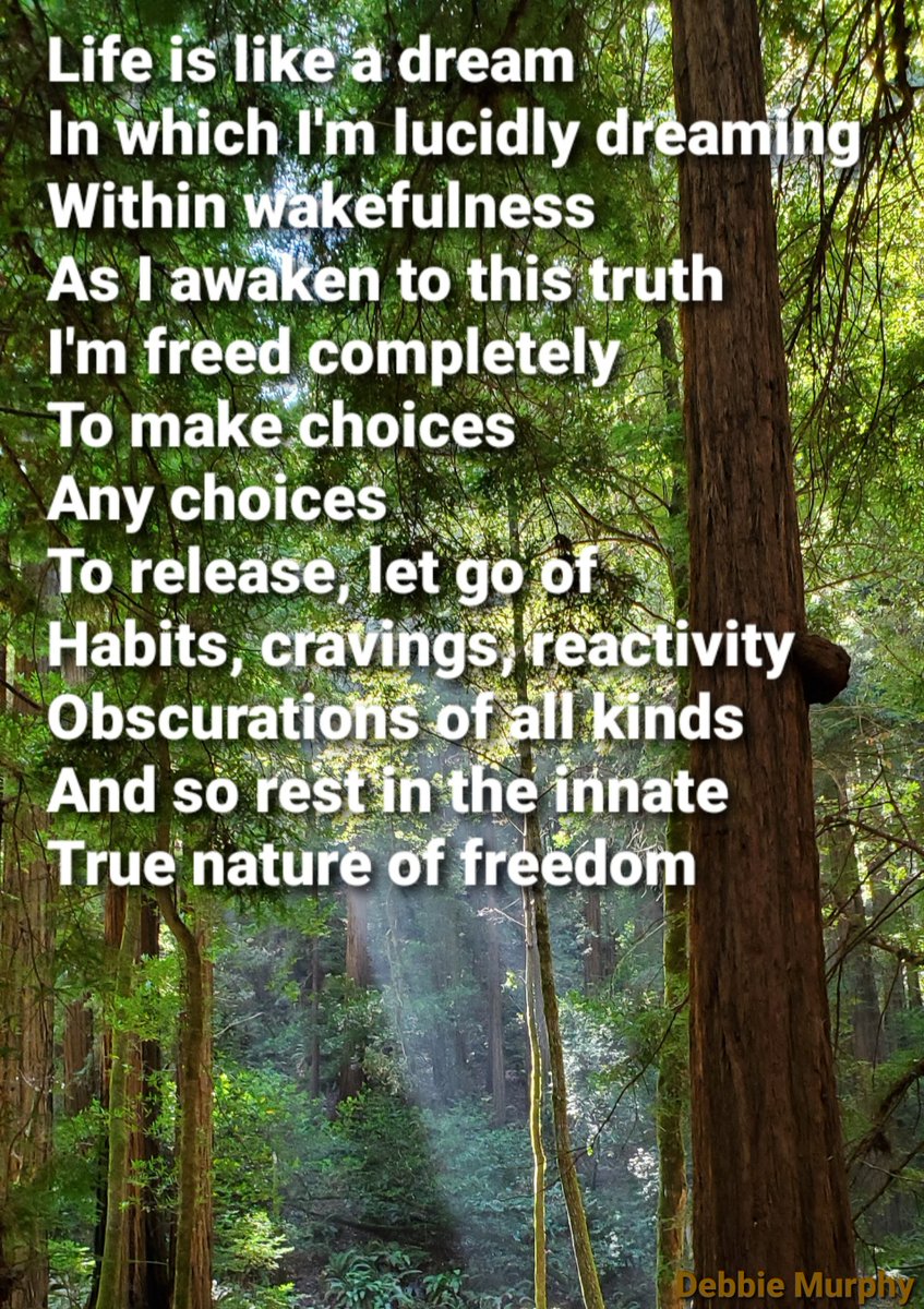 DharmaDeb's tweet photo. Life is like a dream
In which I'm lucidly dreaming
Within wakefulness
As I awaken to this truth
I'm freed completely
To make choices
Any choices
To release, let go of
Habits, cravings, reactivity
Obscurations of all kinds
And so rest in the innate
True nature of freedom https://t.co/M8wjnDMTws