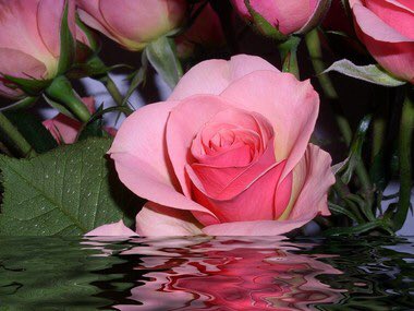 NFx4d2's tweet photo. @jerritama @Lisa54602333 https://t.co/iPaxlW11rm