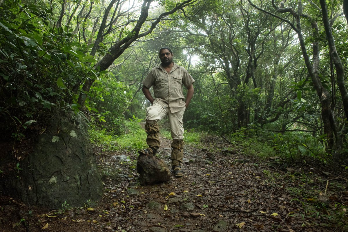 UNDPSriLanka's tweet photo. Mendis Wickramasinghe has discovered 2 new species of snakes in Knuckles #SriLanka. 

These species are critically endangered &amp; as #COVID19 highlights the fragility of life on earth, it's our duty to protect all life around us.

📺WATCH 👉https://t.co/LEllPlLpI3 

#ForNature https://t.co/9fJZKHJsdH