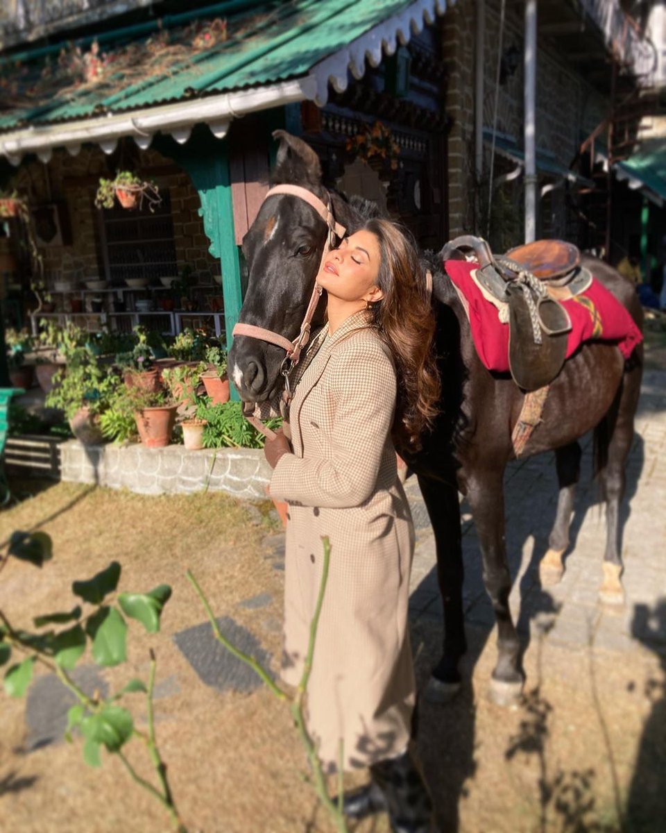 HydTimes's tweet photo. .@Asli_Jacqueline & this lovely beauty soaking in some sun βπΉ
#JacquelineFernandez #Bollywood #BollywoodActress #EquineLover https://t.co/YrdE1mJvxS