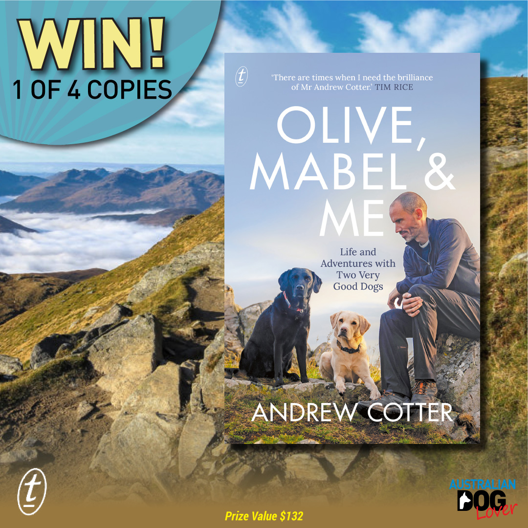 OzDogLover's tweet photo. Win 1 of 4 copies of #OliveMabelandMe by #AndrewCotter🐶🐾⛰️ courtesy of #TextPublishing. Beautifully written, touching and laugh-out-loud funny, this book is a treat for #doglovers everywhere.
Closing 14/11/20 (midnight AEST).
Total Prize Pool: $132.00.
https://t.co/tMb2qNaOhU https://t.co/r70Q4oBGvr