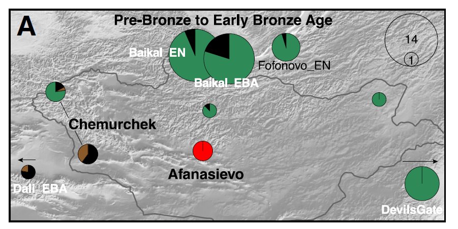 This important work on the ethnogenesis of the Mongols has been finally published. A few comments follow: sciencedirect.com/science/articl… First around 3300 BCE and before. The red is the Afanasievo: the 1st Indo-European invasion of the East. What is striking (to me at least) is that