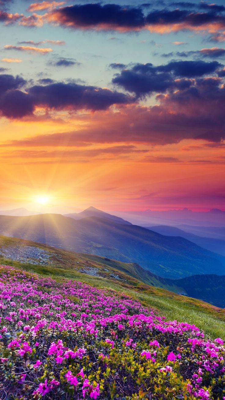 ���� ���� ������ �� ���� ������