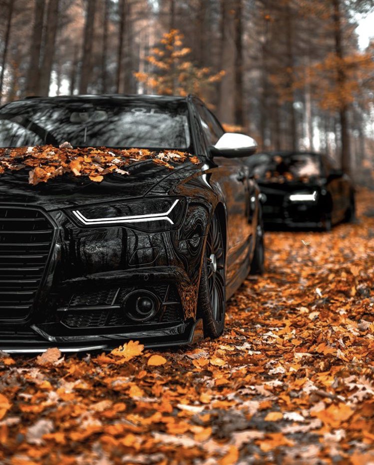EpicDubs on Twitter: EpicDubs on Twitter: