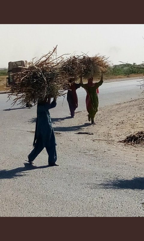 Junaid__SinDhi's tweet photo. سنڌ جي ٻهراڙين ۾ مڙداڻي سماج جي ڏنڊي هيٺ جبل جيڏي جرأت سان جيون گهاريندڙ سنڌياڻيءَ۔امڙ۔ڀيڻ۽ونيءَ کي جُهڪي سُجود پيش ڪجي ٿو..
 
#سنڌياڻيء_کي_سلام https://t.co/sKnt2iLIey