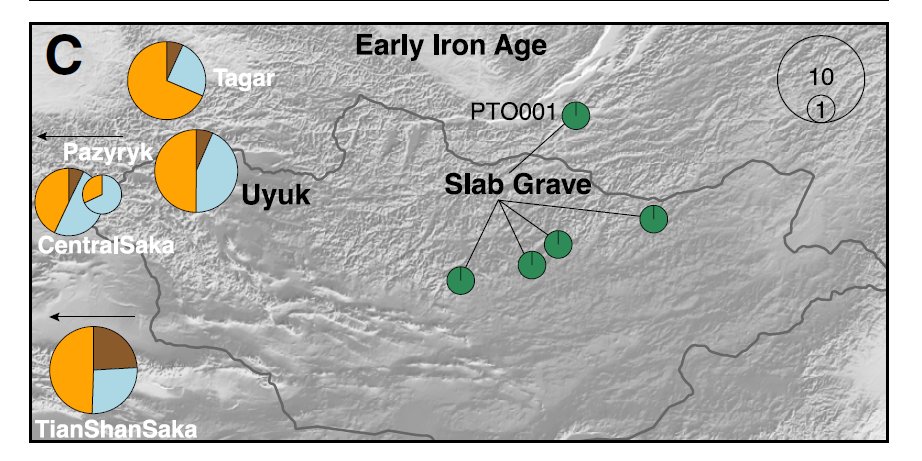 the Sintashta ancestry (orange) into Mongolia. Another new ancestry appears in the form of the Baikal bronze age people in cyan. Even in the bronze age we see some admixture with the BMAC & Indo-Iranians. In the early Fe age by 1000 BCE we see that the BMAC is strongly resurgent