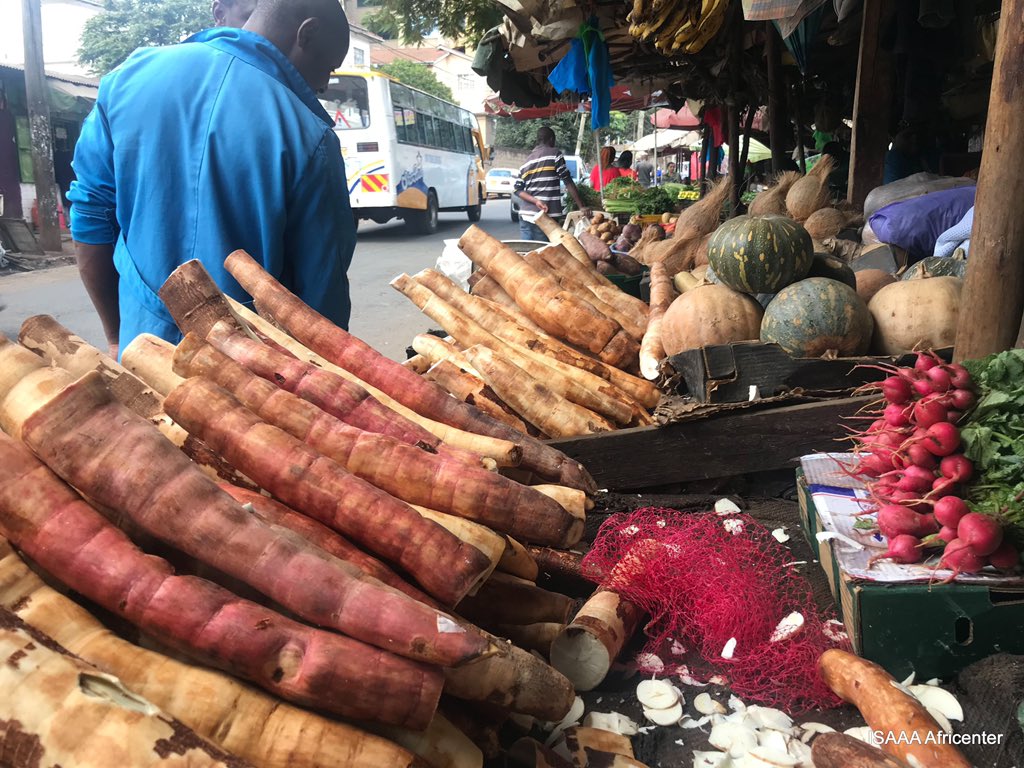 OFABKenya tweet media