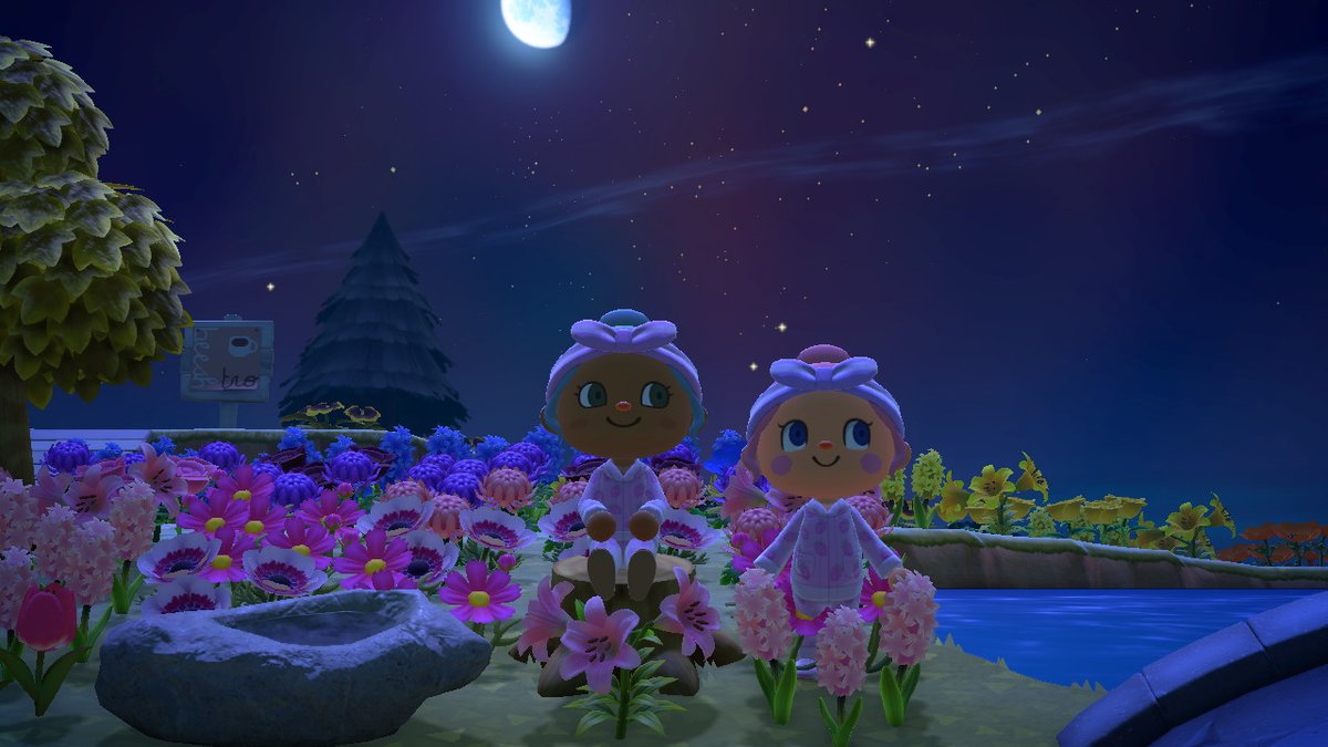 iNeedMyMTV's tweet photo. #AnimalCrossing #ACNH #NintendoSwitch https://t.co/JhliOkOyMH