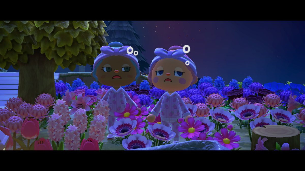 iNeedMyMTV's tweet photo. #AnimalCrossing #ACNH #NintendoSwitch https://t.co/IMIMEBfUs6