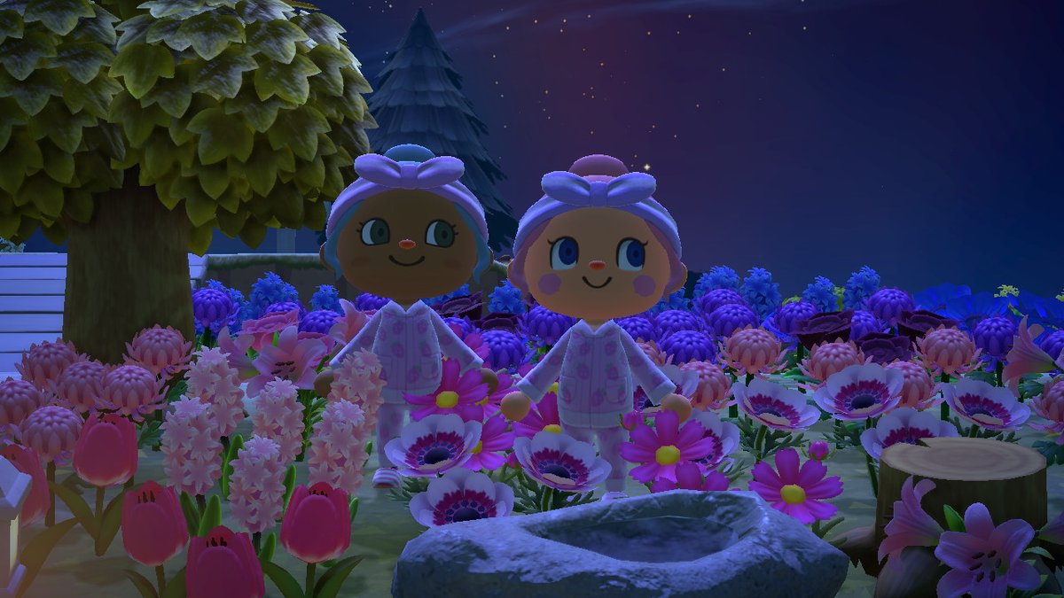 iNeedMyMTV's tweet photo. #AnimalCrossing #ACNH #NintendoSwitch https://t.co/IMIMEBfUs6
