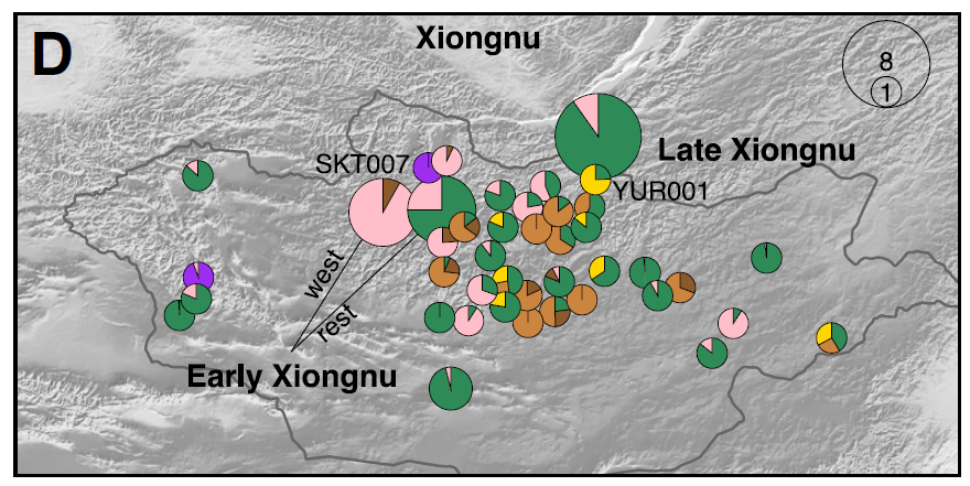 in the central Asian Eastern Saka communities. THis next brings us to the first Hun Khaganate, the Xiongnu. Here we see the imprint of the 3rd IE invasion of the Iranian Sarmatians (dark orange) & the emergence of the new dominant ancestry from the Chandman of NE Mongolia (pink)&