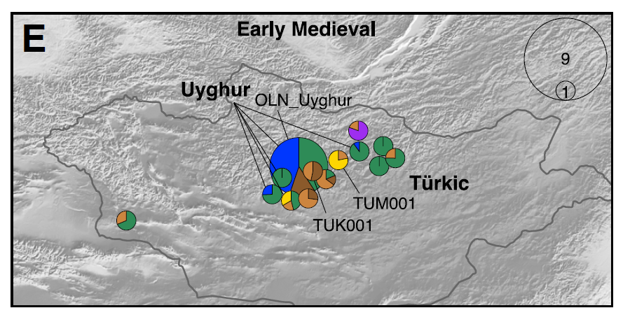 some east Asian Han-like Ancestry. This establishes beyond doubt the role of Iranian influx into Mongolia in the emergence of the 1st Hun Khaganate. Next we've the Blue TurK Uighur period during which that Chandman ancestry which started declining in late Hun period now vanishes