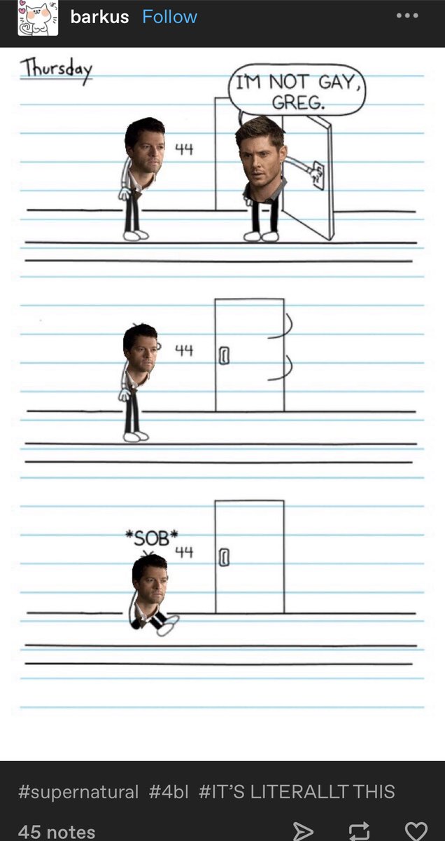 i haven’t thought abt the election in maybe an hour.