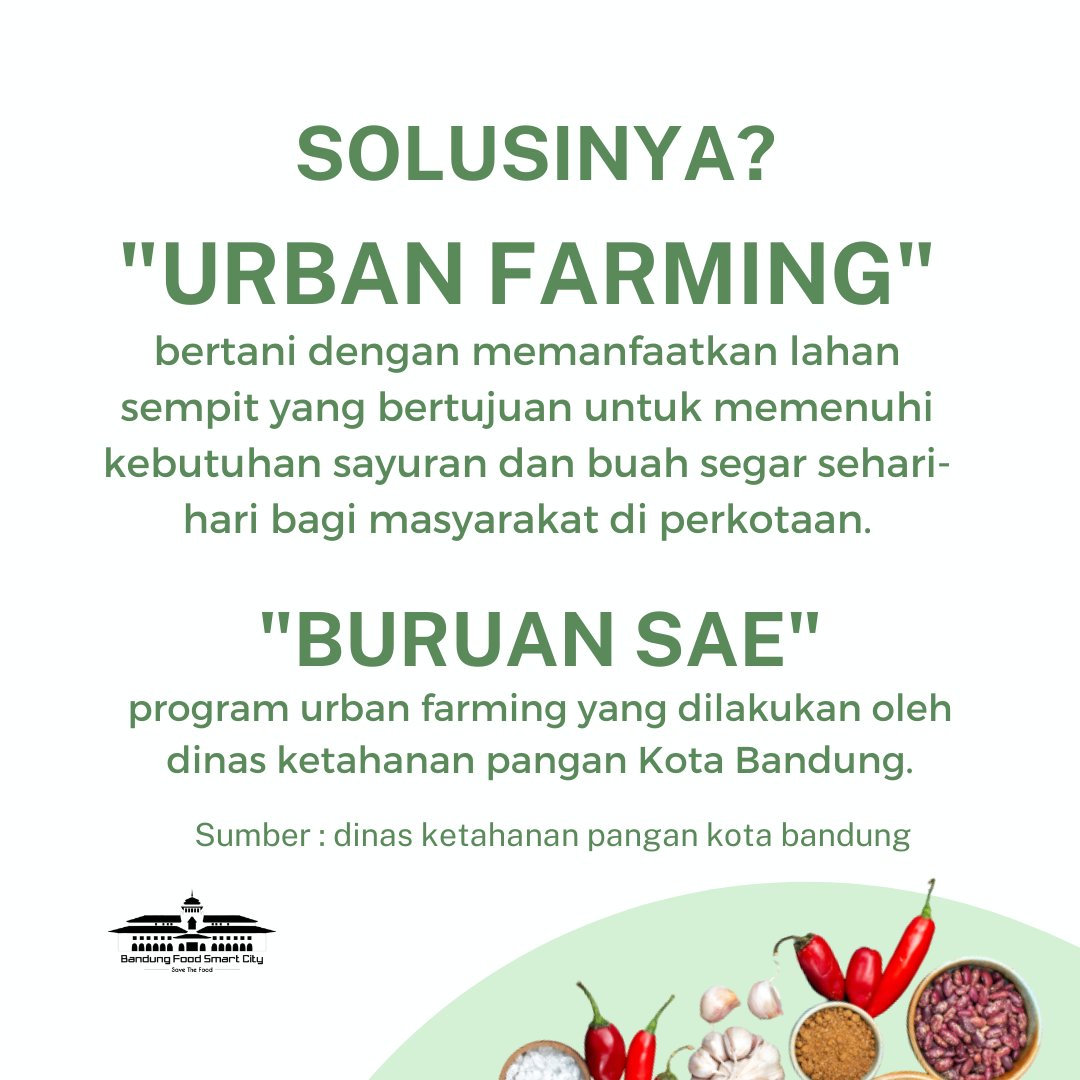 mungkin ini bisa jadi alesan kenapa harga cabe di pasar bisa naik turun secara drastis. #urbanfarming #buruansae