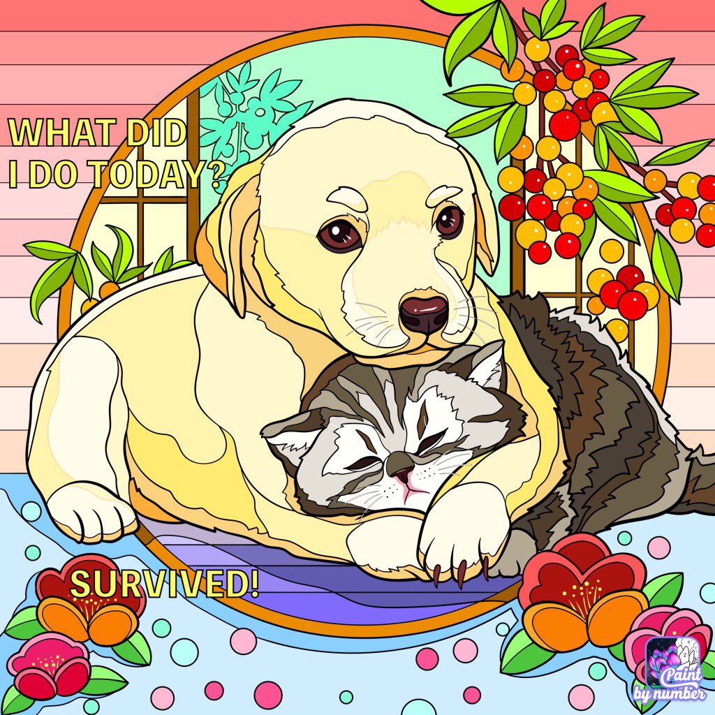 DonnaLeeThomps8's tweet photo. @vroberts9 @MissytheB @Tonithecat32 @BloomNight2 @Ilovemeowmakers @lynda3035 @sharon_cantley @Marina935home @marisbellamy1 @ToughGuyMankas @Palmolive_S_Pan @mhmelbourne @1gingerbeauty @VitCza That’s fantastic, Misty that Luis is learning new skills. He is slowly but surely on his way to getting home. #HomeIn2020 #HeadTuffcatLuis #tuffcats #PurrChoirForLuis https://t.co/jLVu1sJsrT