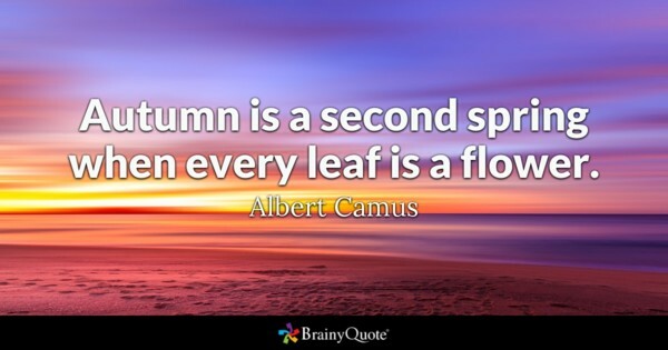AnnaLetiCohen's tweet photo. Quote of the Day: "Freedom is nothing but a chance to be better." - Albert Camus https://t.co/pRfwuIALyb