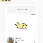 話題のCatlogは？お試し期間があるので首輪をつけたことがない猫にも検討しやすい!