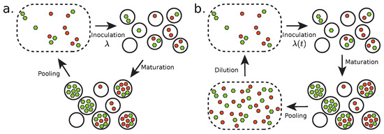 Life_MDPI's tweet image. 🥰High cited article promotion
Survival of Self-Replicating #Molecules under Transient #Compartmentalization with Natural Selection
by Gabin Laurent et al.
from UMR CNRS Gulliver 7083, France  @Gulliver_lab and 
Santa Marinella Research Institute, Italy
mdpi.com/2075-1729/9/4/…
