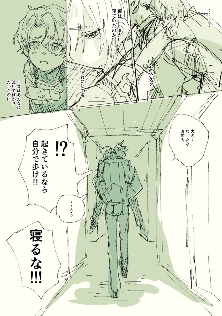 知らぬ間に大きくなった年下の幼なじみの背中にドキドキする少女漫画がかきたかったです(糖分不足)
セベシル⚡⚔️ 