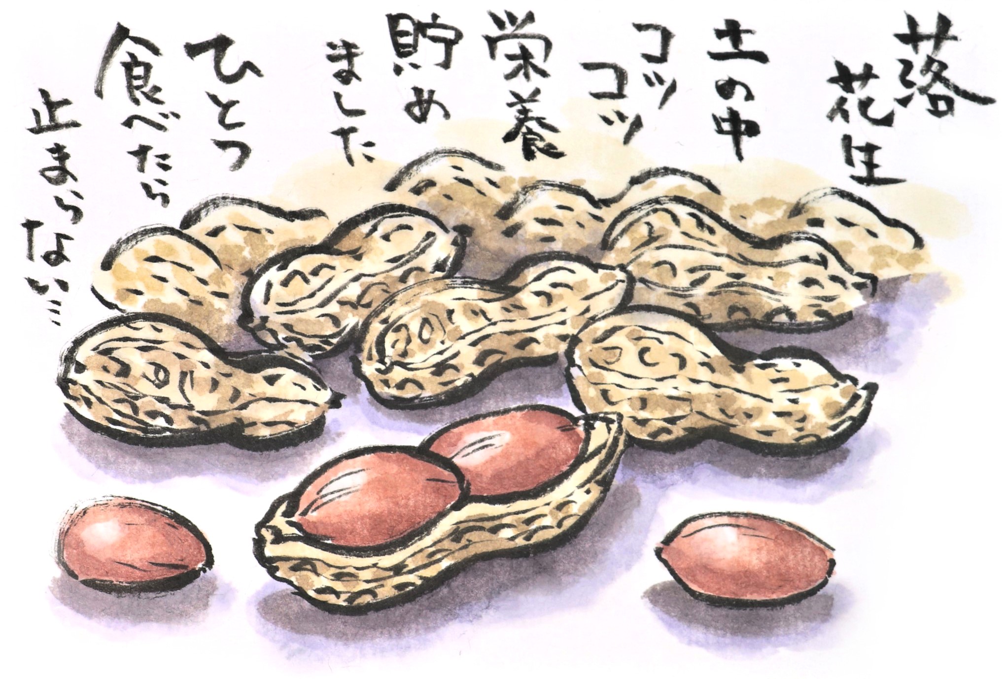 快適art絵手紙 秋の茶色い食べ物シリーズ Youtubeのコメント欄で評判のよかった 御座候さんの大判焼きを食べてみたい Youtube描き方解説動画 落花生 T Co Hsz6eym9e5 鯛焼きと大判焼き T Co Lowg8kz5bx 快適