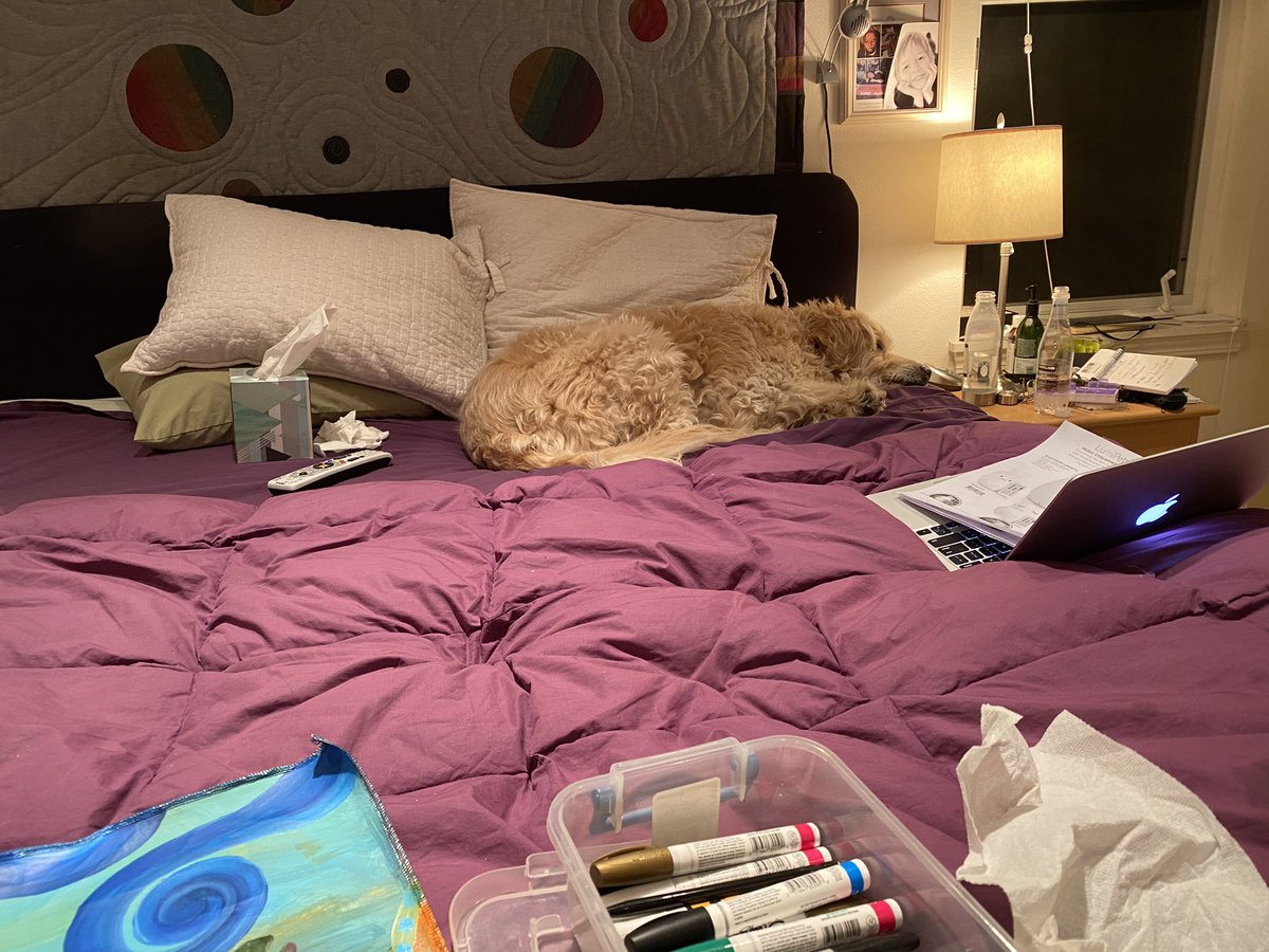 Here’s our dog Cokie-to calm things down politically