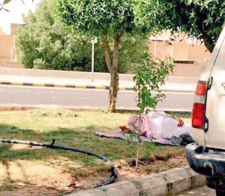 #بدور_البراهيم_تحب_بندر  اب يتوسد التراب ويلتحف الشمس لينتظر أبنته في المدرسه
وتجيك نسويه تجحد مكانه الآباء ...!
 #الله_يسامحك_يامنيره