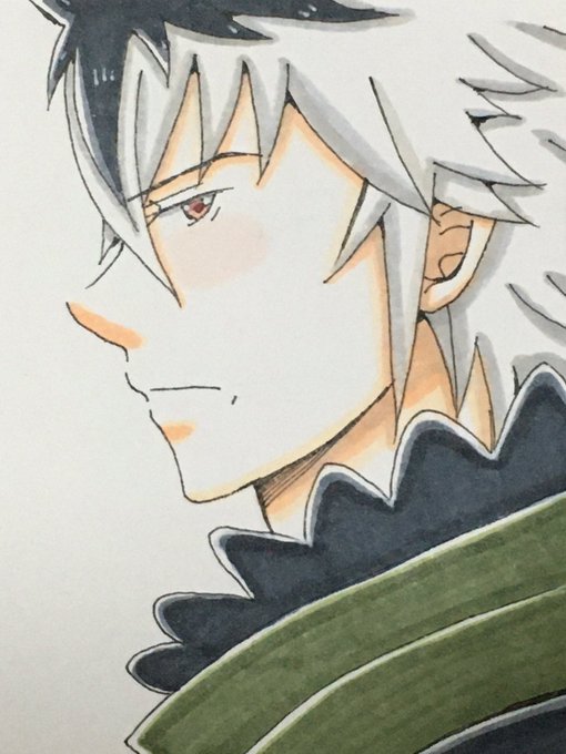 Feifのtwitterイラスト検索結果