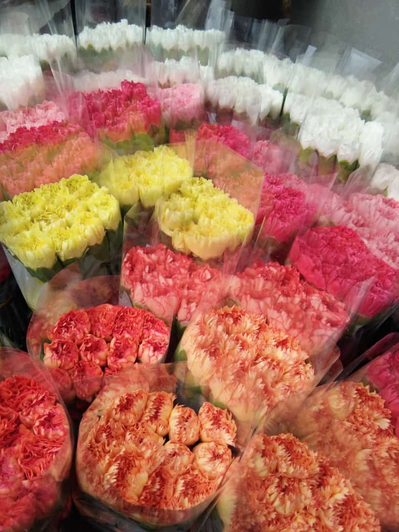 AgriplusIn's tweet photo. Flowers (Carnation) available for sale
Barsar, Himachal Pradesh
Contact Nishant Patial at 9999125235
For more information and images, please click below:
https://t.co/HL4khbrBIE
#agriculture #agriplus #flowers #carnation https://t.co/dEZexIbb8h