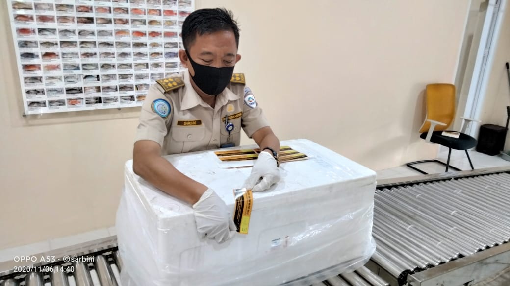 BPPMHKPMakassar's tweet photo. Dilanjutkan pemberian label penanda oleh petugas Pemeriksa #OneHealthKIPM https://t.co/d1er5A9qXx