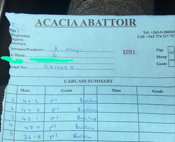 abel4moyo's tweet photo. From cashing out 5 pigs 🐖. All P1s 😁 at 4 months . Creating quality meat for Zim #zimfarmers @wamamboDee @AgricultureDesk @basera_john https://t.co/IrOOudOlb4