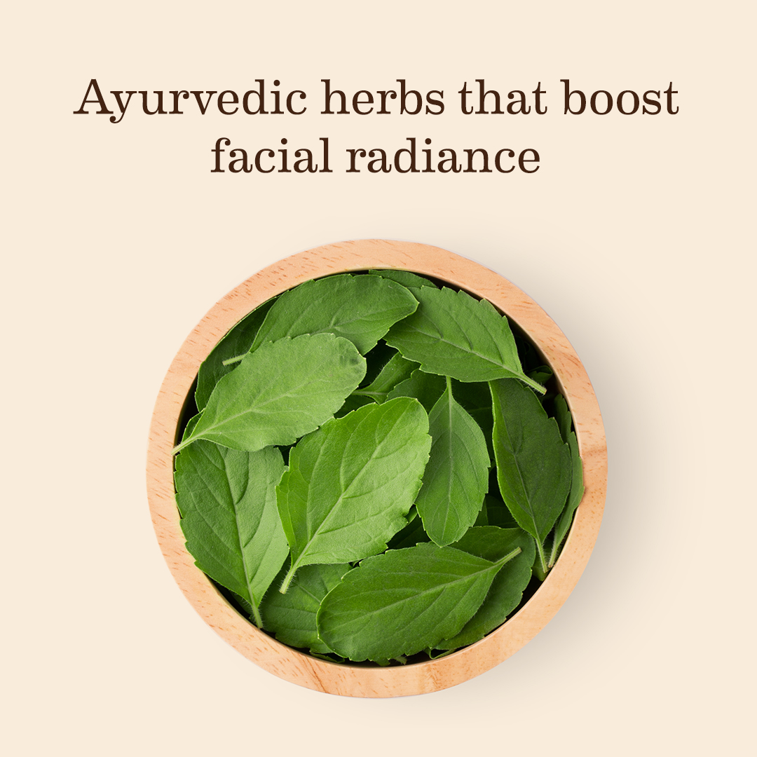 SoulTree_In's tweet photo. With potent antioxidant and healing properties, these time-tested herbs have been some of the most treasured ingredients in Ayurveda. 

#SoulTree #Rootedingoodness #truthinside #AyurvedawithSoulTree #glowingskin #skincaretips #nourishyourskin #organicskincarejunkie #toxicfree https://t.co/Ka454VlKUN